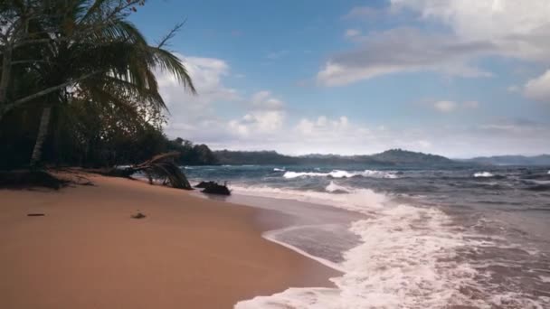 Passeggiata Liscia Lungo Una Bella Spiaggia Punta Uva Costa Rica — Video Stock
