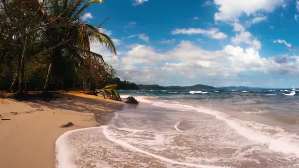 Caminhada Suave Longo Uma Bela Praia Punta Uva Costa Rica — Vídeo de Stock
