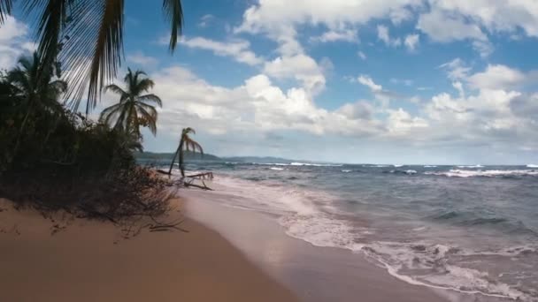 Smooth Walk Beautiful Beach Punta Uva Costa Rica — Vídeos de Stock