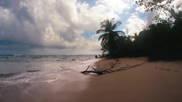 Smidig Promenad Längs Vacker Strand Punta Uva Costa Rica — Stockvideo
