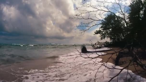 Гладка Прогулянка Вздовж Прекрасного Пляжу Пунта Ува Коста Рика — стокове відео