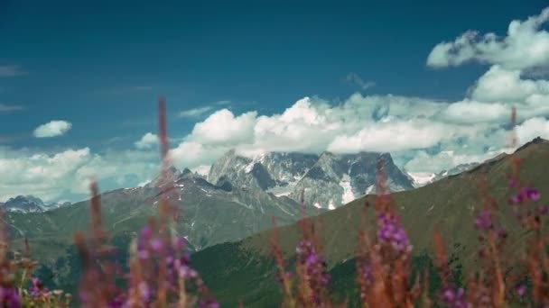 Грузия Природа Путешествия Горы Ушба — стоковое видео
