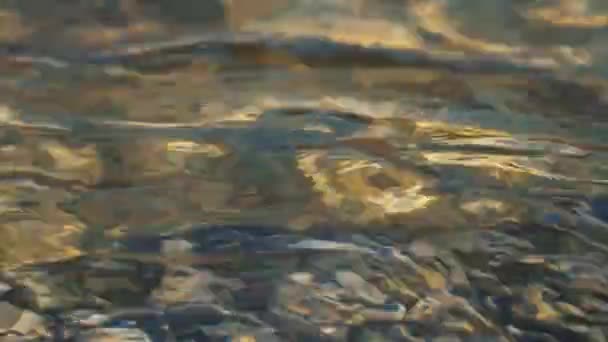 Reflexní Vodní Plocha Pozadí — Stock video