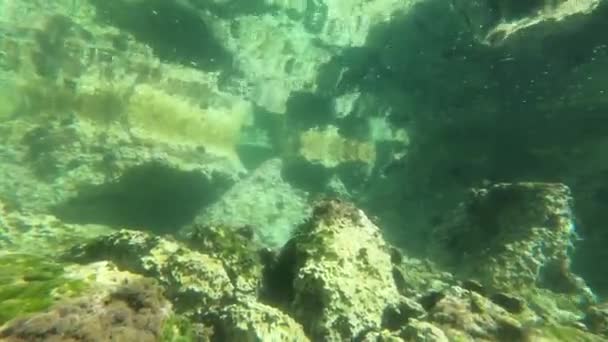 Plain Underwater Ocean Hintergrund — Stockvideo
