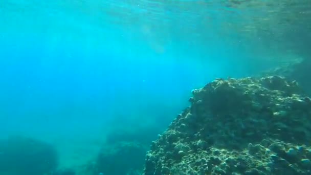 Равнинный Подводный Океан — стоковое видео