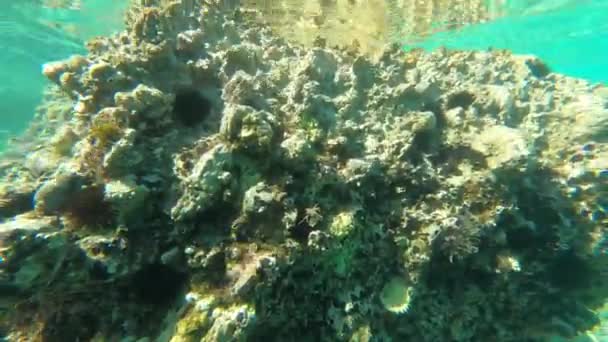 Plain Underwater Ocean Hintergrund — Stockvideo