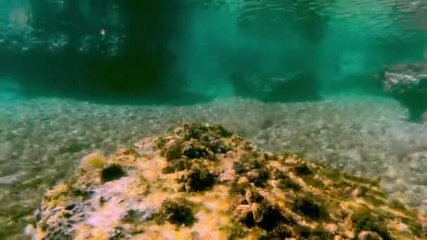 Plain Podvodní Oceán Pozadí — Stock video