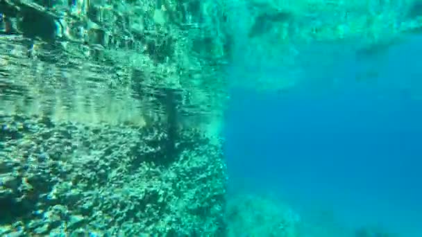 Plain Undervattensbotten Ocean Bakgrund — Stockvideo