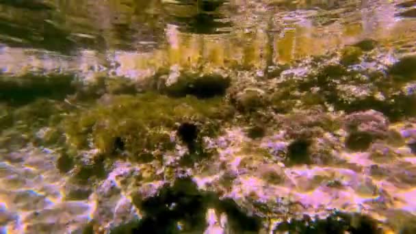 Plain Underwater Ocean Hintergrund — Stockvideo