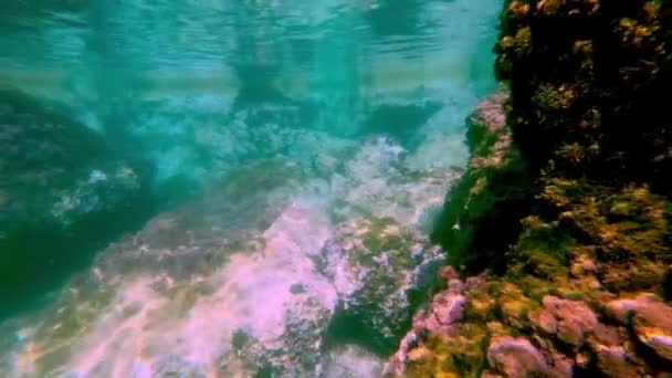 Düz Sualtı Okyanusu Arkaplanı — Stok video