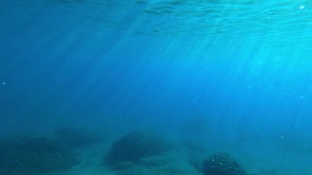 Egyszerű Víz Alatti Óceáni Háttér — Stock videók