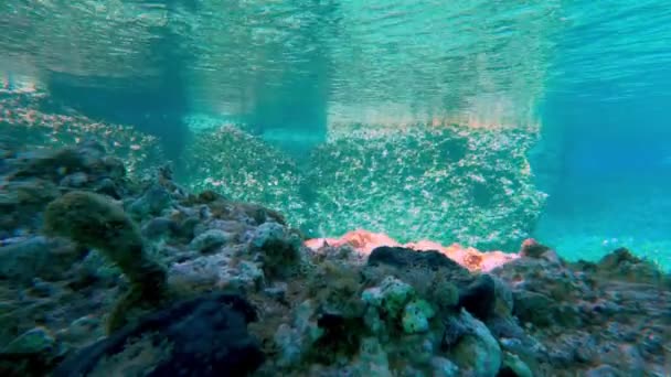 Звичайний Підводний Океан Фон — стокове відео