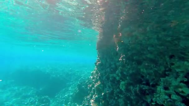Düz Sualtı Okyanusu Arkaplanı — Stok video