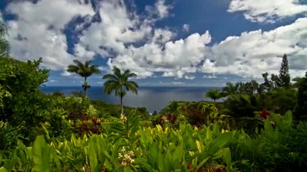 庭エデン タイムラプス マウイ島 ハワイ 米国の — ストック動画