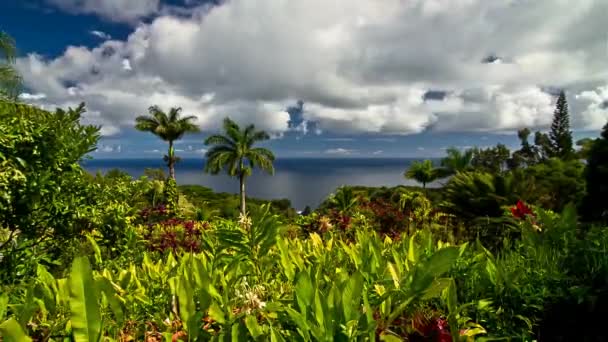 Jardim Éden Timelapse Maui Havaí Eua — Vídeo de Stock