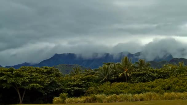 Parque Regional Oahu Kualoa — Vídeos de Stock