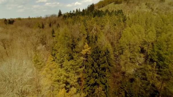 Pohled Krajinu Vzdušné Bavorské Krajiny — Stock video
