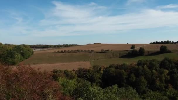 Aerial View German Quarry Daytime — Stok video