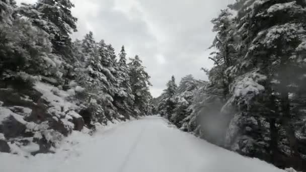 Οδηγώντας Τους Δρόμους Στα Βουνά Του Πάρνωνα Χειμώνα Στην Πελοπόννησο — Αρχείο Βίντεο
