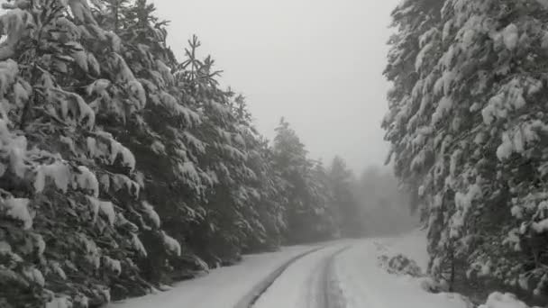 Οδηγώντας Τους Δρόμους Στα Βουνά Του Πάρνωνα Χειμώνα Στην Πελοπόννησο — Αρχείο Βίντεο