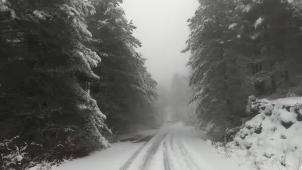 Driving Roads Parnonas Mountains Winter Peloponnes Greece — Stock Video