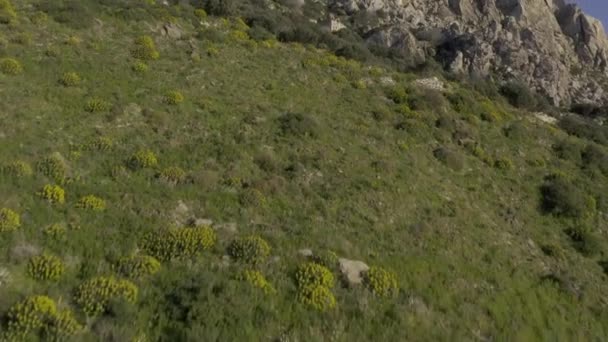 Antenne Entlang Der Westküste Des Peloponnes Griechenland — Stockvideo