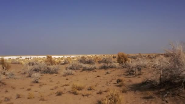 Luchtfoto Namak Lake Maranjab Woestijn Iran Graded Gestabiliseerde Versie — Stockvideo