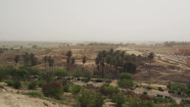 Die Antike Stadt Babylon Irak — Stockvideo