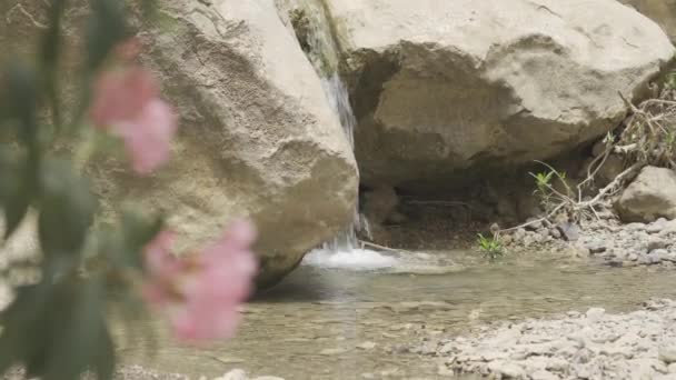 Malá Řeka Kaňon Jeskyni Jasana Kurdistán Irák — Stock video