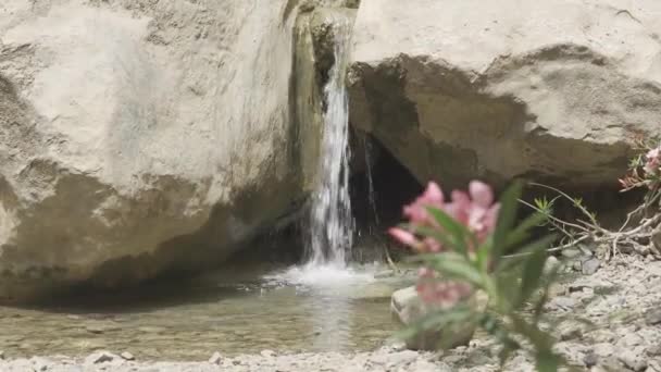 Little River Canyon Grotte Jasana Kurdistan Irak — Video