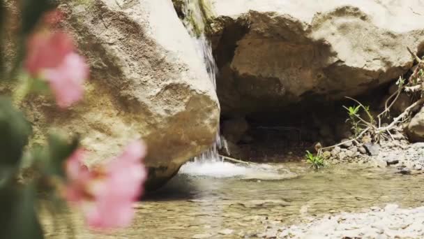 Kis Folyó Kanyon Jasana Barlangban Kurdisztán Irak — Stock videók