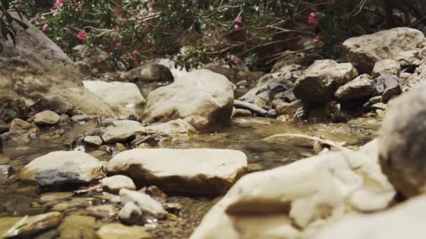 Μικρό Ποτάμι Και Φαράγγι Στο Σπήλαιο Jasana Κουρδιστάν Ιράκ — Αρχείο Βίντεο