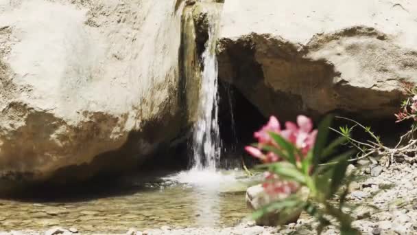 Little River Canyon Grotte Jasana Kurdistan Irak — Video