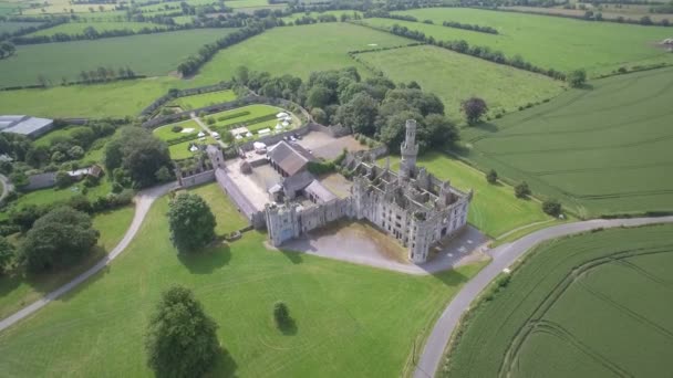 Aerial Ducketts Grove Gardens County Carlow Irlanda — Vídeo de Stock