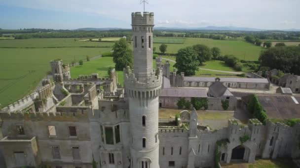 Antenne Entenhain Und Gärten Grafschaft Carlow Irland — Stockvideo