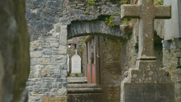 Kloster Kilcrea Grafschaft Cork Irland — Stockvideo