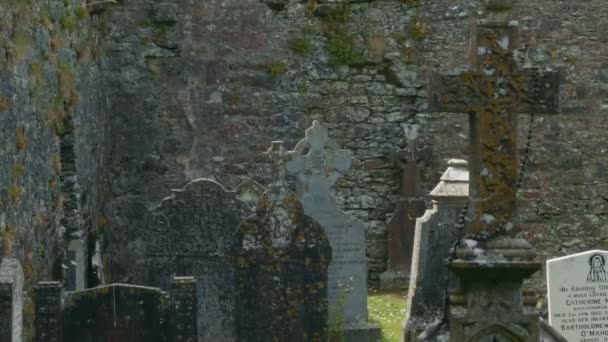Kloster Kilcrea Grafschaft Cork Irland — Stockvideo