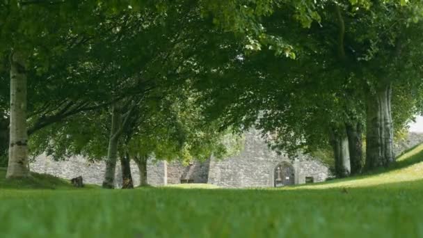 Kilcrea Friary County Cork Irlanti — kuvapankkivideo