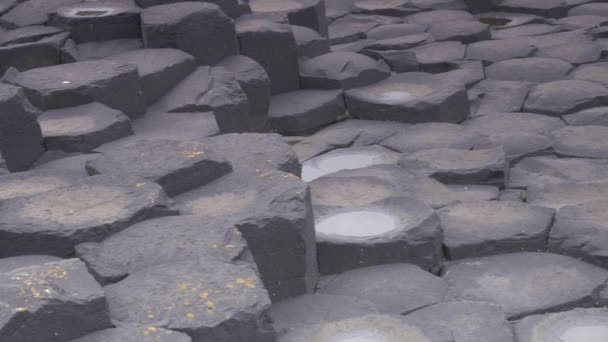 Pedras Basalto Giant Causeway Irlanda Norte — Vídeo de Stock