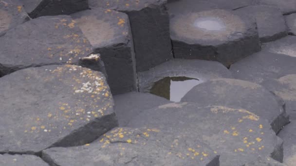 Базальтові Камені Гігантському Каналі Північна Ірландія — стокове відео