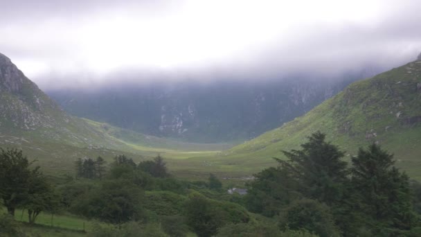 Zehirli Glen Donegal Lçesi Rlanda — Stok video