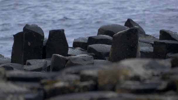 Piedras Basalto Giant Causeway Irlanda Del Norte — Vídeos de Stock