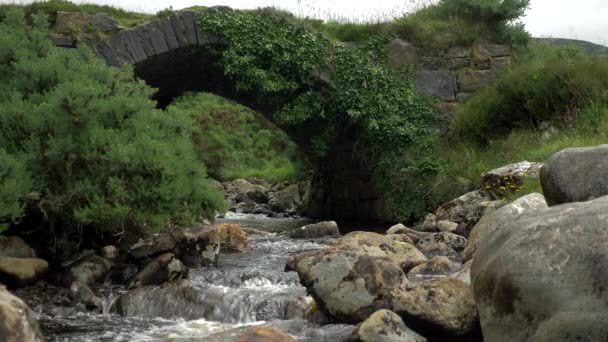 Poison Glen Bridge Devlin River County Donegal Ireland — Wideo stockowe