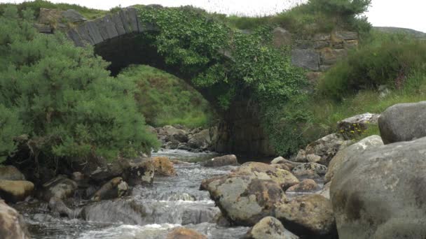 Poison Glen Bridge Devlin River County Donegal Ireland — Stockvideo