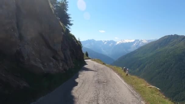 Strada Guida Attraverso Belle Alpi Italiane — Video Stock