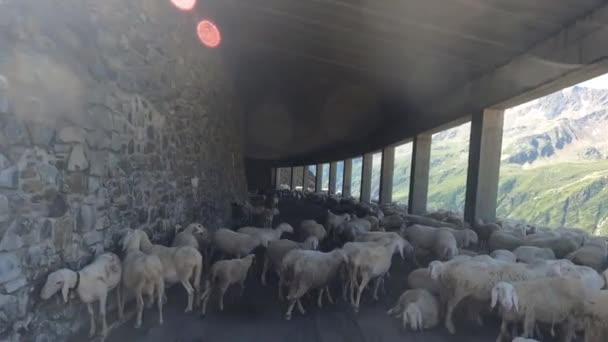 Ехать Тоннелю Итальянских Альпах — стоковое видео
