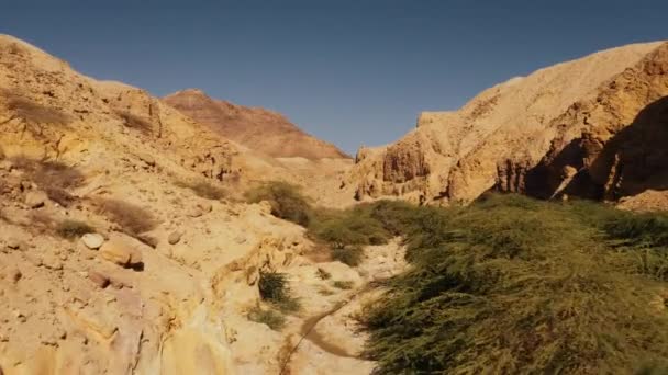 Vacker Antenn Utsikt Över Wadi Assal Jordanien — Stockvideo