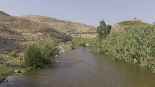 Aérea Largo Del Río Nahr Zarqa Jordania — Vídeos de Stock