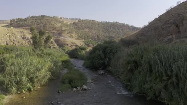 Vzduch Podél Řeky Nahr Zarqa Jordánsku — Stock video