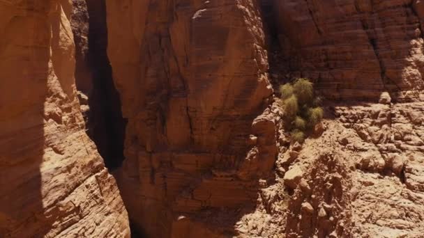 Όμορφη Εναέρια Άποψη Πετώντας Πάνω Από Wadi Numeira Ιορδανία — Αρχείο Βίντεο